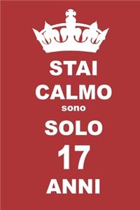 stai calmo sono solo 17 anni