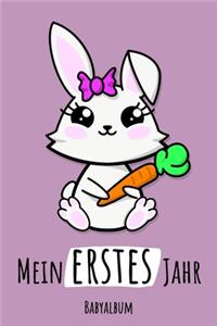 Mein erstes Jahr Babyalbum