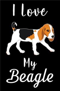 I Love My Beagle