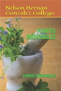 Plantes Médicinales