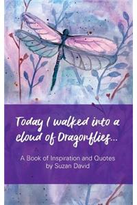Today I Walked Into a Cloud of Dragonflies...