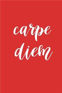 2019 Weekly Planner Motivational Carpe Diem 134 Pages