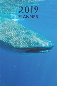 Blue Whale Planner