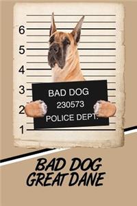 Bad Dog Great Dane