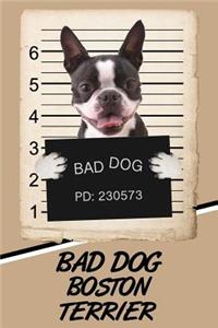 Bad Dog Boston Terrier: Blood Sugar Diet Diary Journal Log Notebook Featuring 120 Pages 6x9