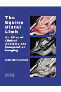 The Equine Distal Limb