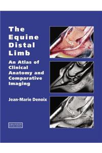 Equine Distal Limb