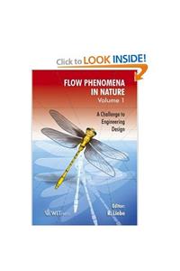 Flow Phenomena in Nature