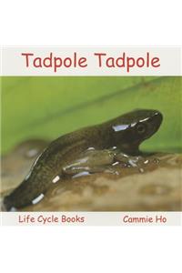 Tadpole Tadpole