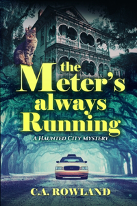Meter's Always Running: A Haunted City Mystery