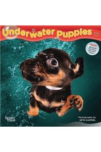 Underwater Puppies 2020 Mini 7x7