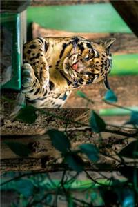 A Cloud Leopard Resting Journal