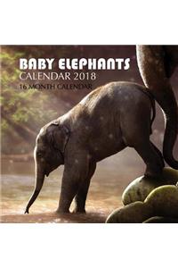 Baby Elephants Calendar 2018