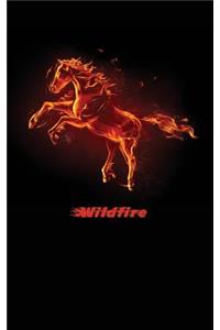 Wildfire