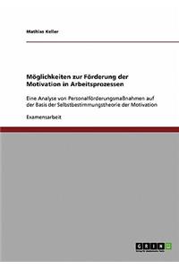 Möglichkeiten zur Förderung der Motivation in Arbeitsprozessen