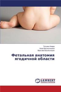 Fetal'naya anatomiya yagodichnoy oblasti