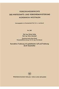 Konvektive Trocknung Mit Gasbeheizter Luft Und Trocknung Durch Gasstrahler