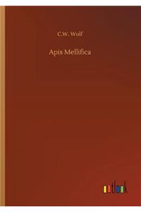 Apis Mellifica