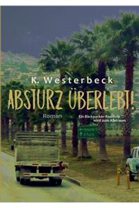 Absturz überlebt!