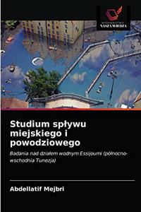 Studium splywu miejskiego i powodziowego