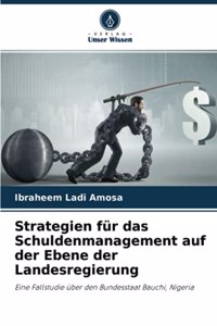 Strategien für das Schuldenmanagement auf der Ebene der Landesregierung