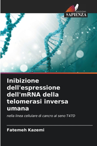 Inibizione dell'espressione dell'mRNA della telomerasi inversa umana