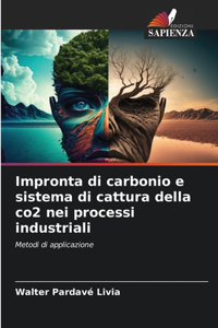 Impronta di carbonio e sistema di cattura della co2 nei processi industriali