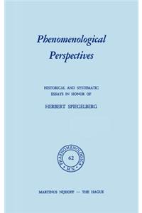 Phenomenological Perspectives