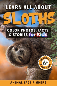 Learn All About Sloths