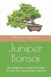 Juniper Bonsai