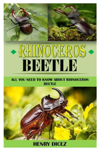 Rhinoceros Beetle