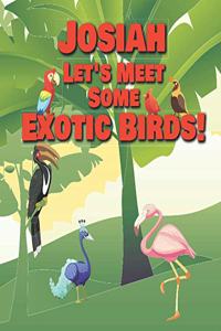 Josiah Let's Meet Some Exotic Birds!