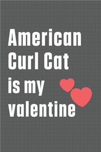 American Curl Cat is my valentine