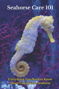 Seahorse Care 101