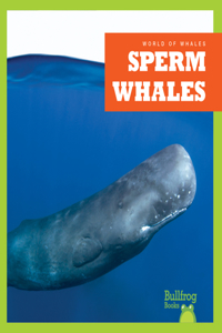 Sperm Whales