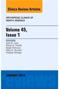 Volume 45, Issue 1, an Issue of Orthopedic Clinics