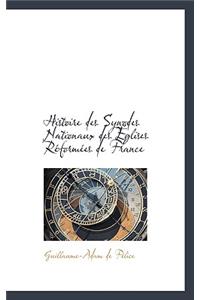 Histoire Des Synodes Nationaux Des Eglises Reformees de France