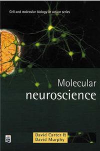 Molecular Neuroscience