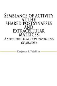 Semblance of activity at the shared postsynapses and extracellular matrices