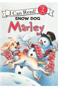 Snow Dog Marley