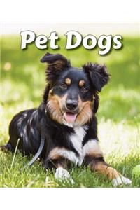 Pet Dogs