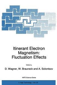 Itinerant Electron Magnetism: Fluctuation Effects