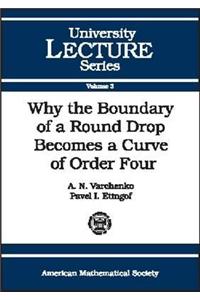 Why the Boundary of a Round Drop Becomes a Curve of Order Four