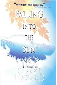 Falling into the Sun