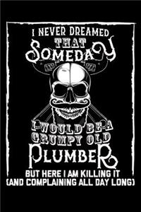 I Never Dreamed That Someday I Would Be a Grumpy Old Plumber But here I m killing it (And complaining all day long)