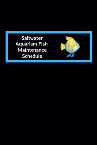 Saltwater Aquarium Fish Maintenance Schedule