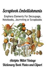 Scrapbook Embellishments
