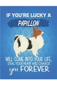 If You're Lucky A Papillon Will Come Into Your Life, Steal Your Heart And Change You Forever