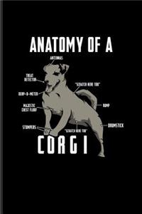 Anatomy Of A Corgi