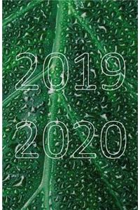 2019 - 2020